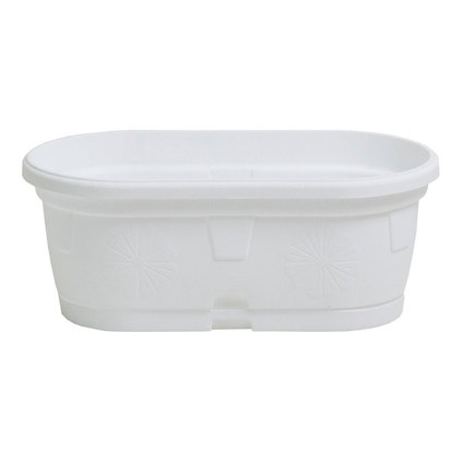 САНДЪЧЕ ГЕРБЕР 20СМ БЯЛО С ПОДЛОЖКА САНДЪЧЕ ГЕРБЕР 20СМ БЯЛО С ПОДЛОЖКА