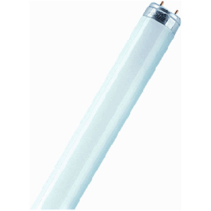 &OSRAM луминесц T8 36W G13 3350lm 2700K &OSRAM луминесц T8 36W G13 3350lm 2700K