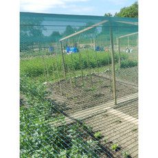 МРЕЖА ПРОТИВ ГРАДУШКА 200CM TENAX DEFENDER МРЕЖА ПРОТИВ ГРАДУШКА 200CM TENAX DEFENDER