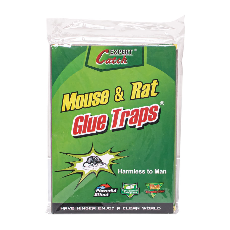 Adhesive made from sugars and vegetable oils