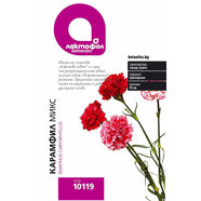 Лактофол БОТАНИК Карамфил микс Лактофол БОТАНИК Карамфил микс