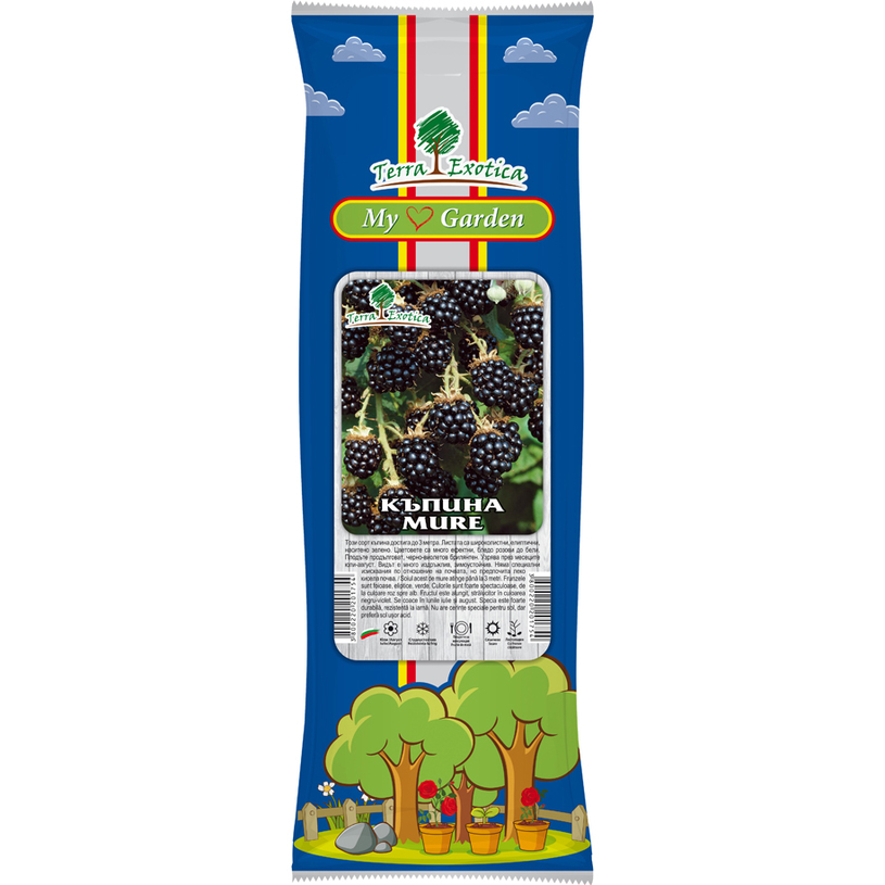 Корен къпина в пакет Корен къпина в пакет