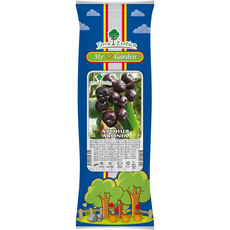 КОРЕН АРОНИЯ EKZOTIKA КОРЕН АРОНИЯ EKZOTIKA