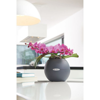 *КАШПА НАП.С-МА PUROCOLOR 20 СИВ 13364 *КАШПА НАП.С-МА PUROCOLOR 20 СИВ 13364