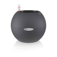 КАШПА Ф20СМ С НАПОИТЕЛНА СИСТЕМА LECHUZA PURO COLOR КАШПА Ф20СМ С НАПОИТЕЛНА СИСТЕМА LECHUZA PURO COLOR