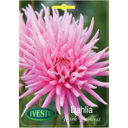 ЛУКОВИЦИ ДАЛИЯ Cactus Park Princess ЛУКОВИЦИ ДАЛИЯ Cactus Park Princess