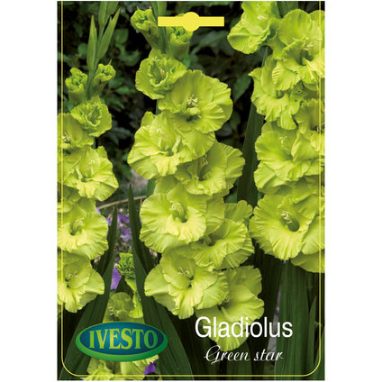 ЛУКОВИЦИ ГЛАДИОЛА GREEN STAR ЛУКОВИЦИ ГЛАДИОЛА GREEN STAR