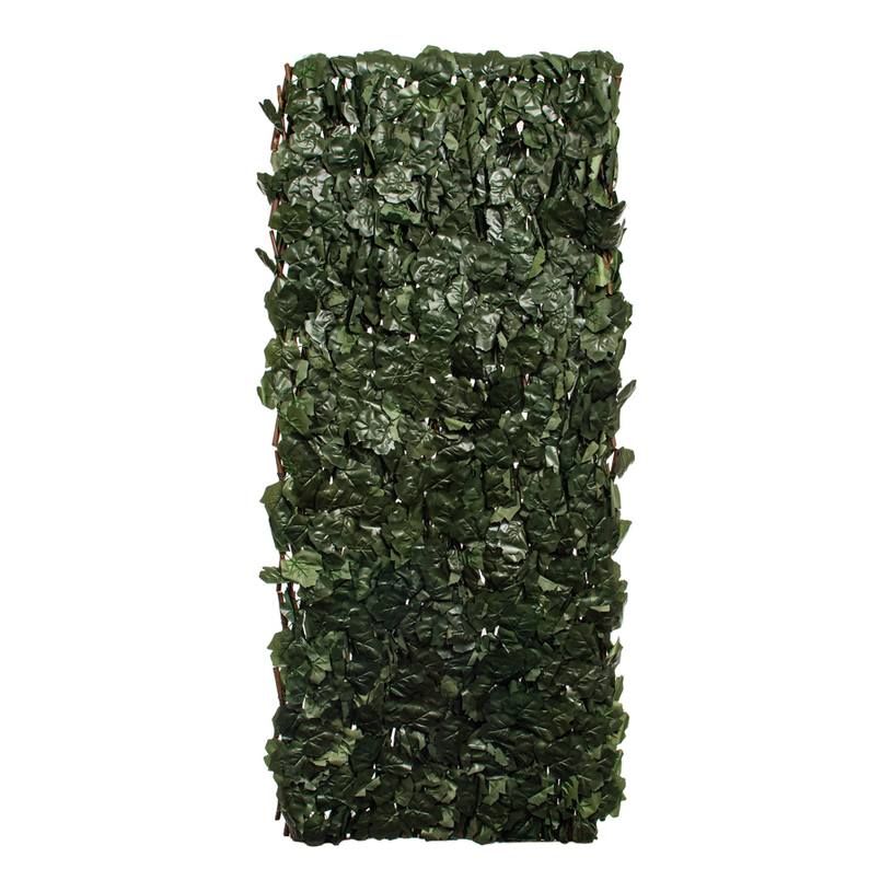 Изк.озеленяване за огради Бръшлян+дърво Изк.озеленяване за огради Бръшлян+дърво