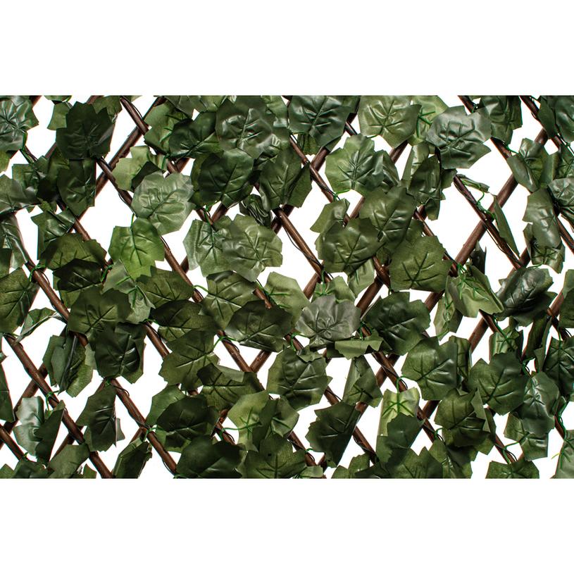 Изк.озеленяване за огради Бръшлян+дърво Изк.озеленяване за огради Бръшлян+дърво