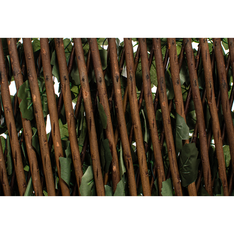Изк.озеленяване за огради Бръшлян+дърво