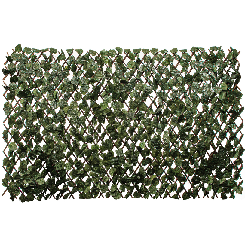 Изк.озеленяване за огради Бръшлян+дърво Изк.озеленяване за огради Бръшлян+дърво