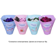 СЕНТПОЛИЯ VOILA LA FLEUR Ф12CM H20CM СЕНТПОЛИЯ VOILA LA FLEUR Ф12CM H20CM