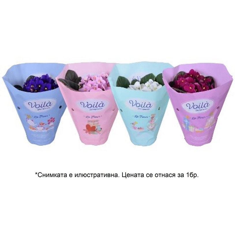 СЕНТПОЛИЯ VOILA LA FLEUR Ф12CM H20CM СЕНТПОЛИЯ VOILA LA FLEUR Ф12CM H20CM