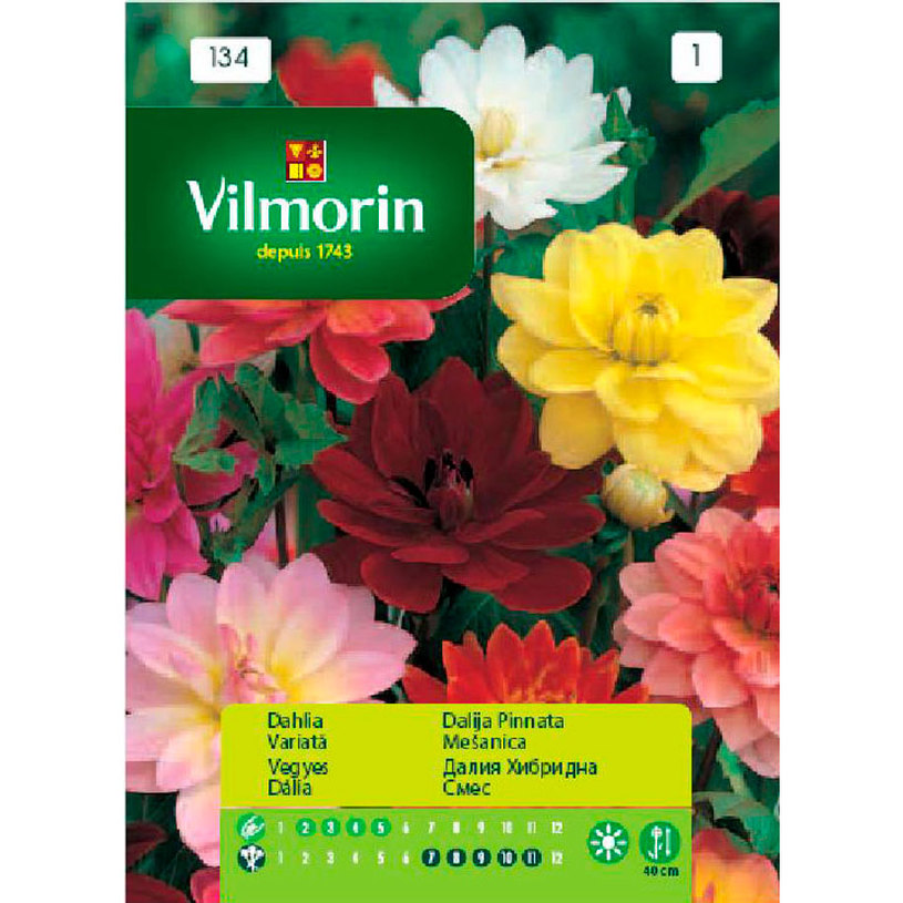 Вилморин Далия хибридна смес Вилморин Далия хибридна смес