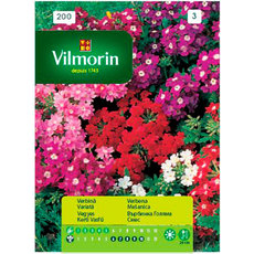 Вилморин Върбинка голяма Вилморин Върбинка голяма