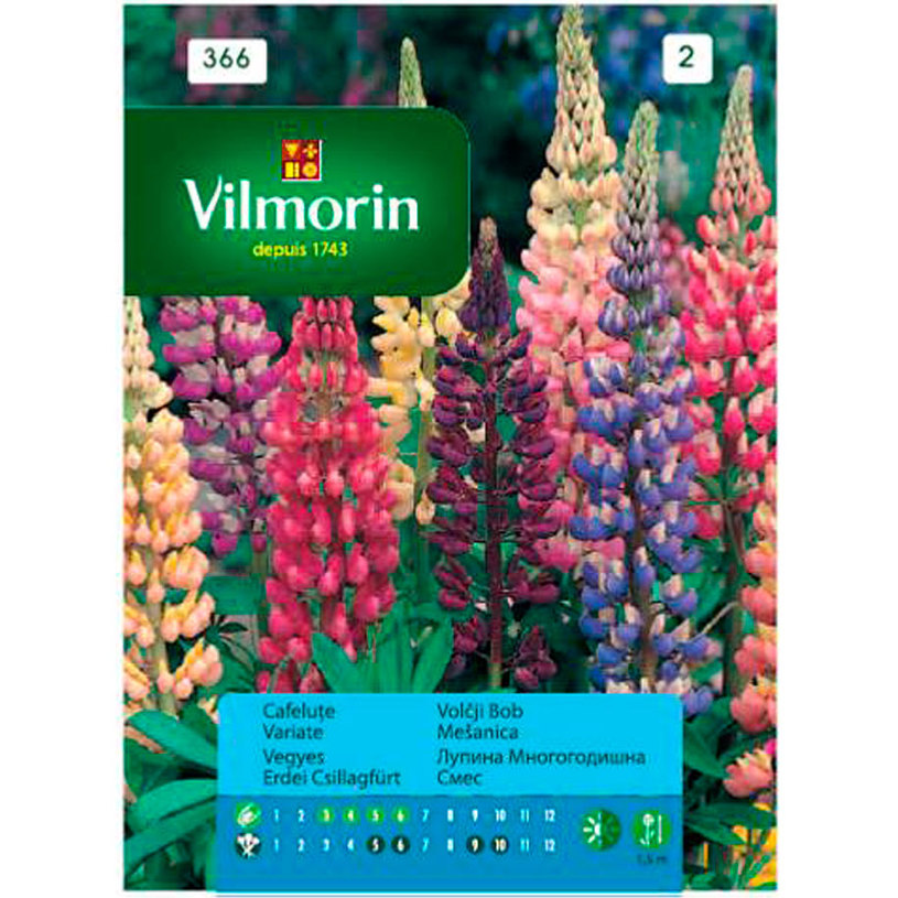 Вилморин Лупина многогодишна Вилморин Лупина многогодишна