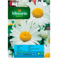 Вилморин Маргарита голяма бяла Вилморин Маргарита голяма бяла