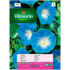 Вилморин Ипомея синя Вилморин Ипомея синя