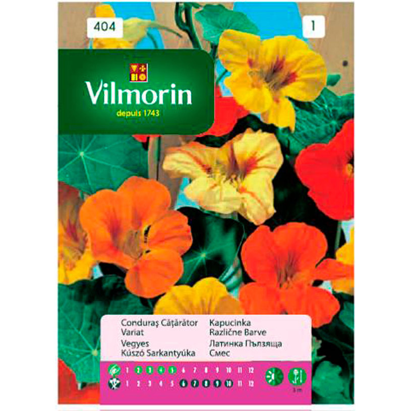 Вилморин Латинка пълзяща смес Вилморин Латинка пълзяща смес