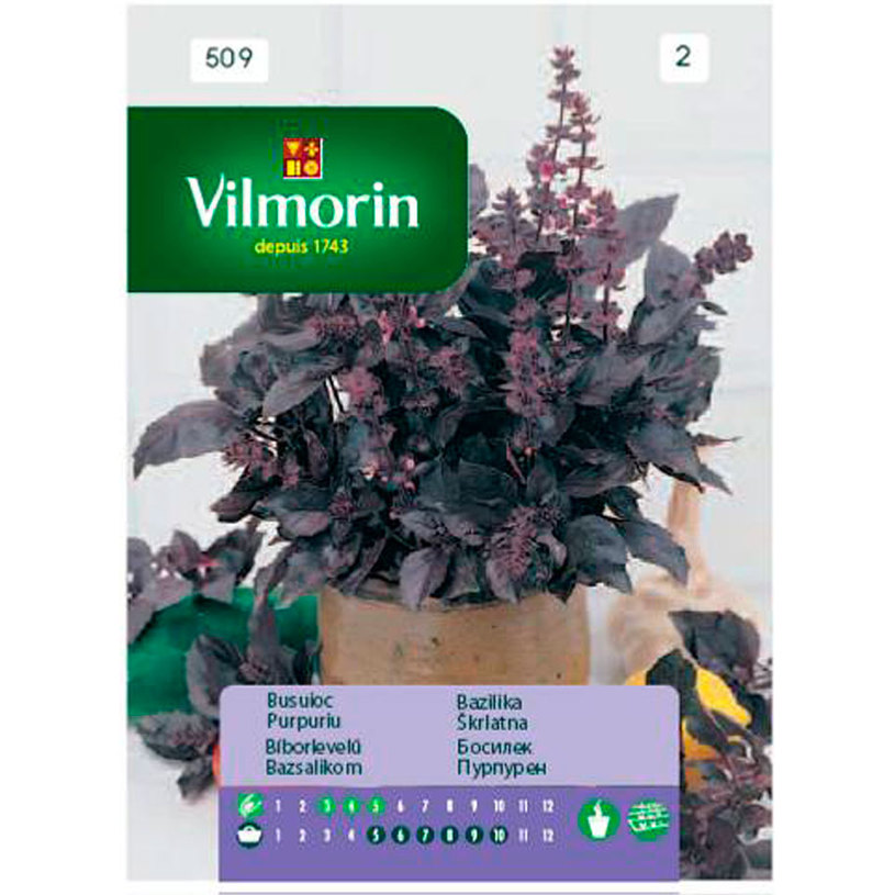 **Вилморин Босилек червен **Вилморин Босилек червен