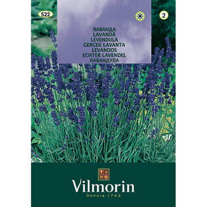 Вилморин Лавандула Вилморин Лавандула