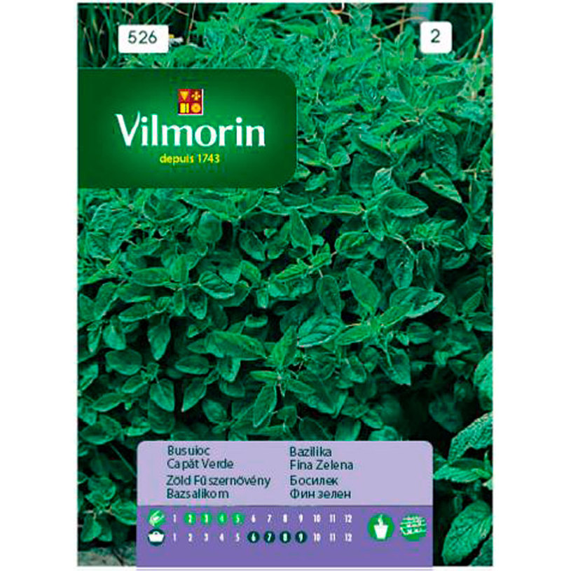 Вилморин Босилек обикновен Вилморин Босилек обикновен