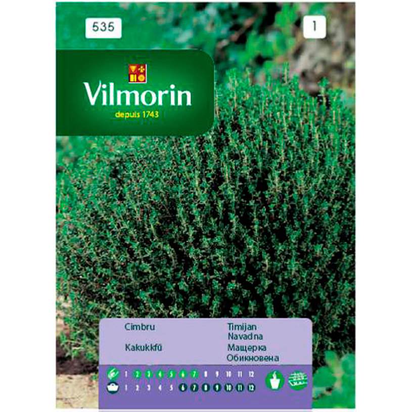 Вилморин Мащерка обикновена Вилморин Мащерка обикновена