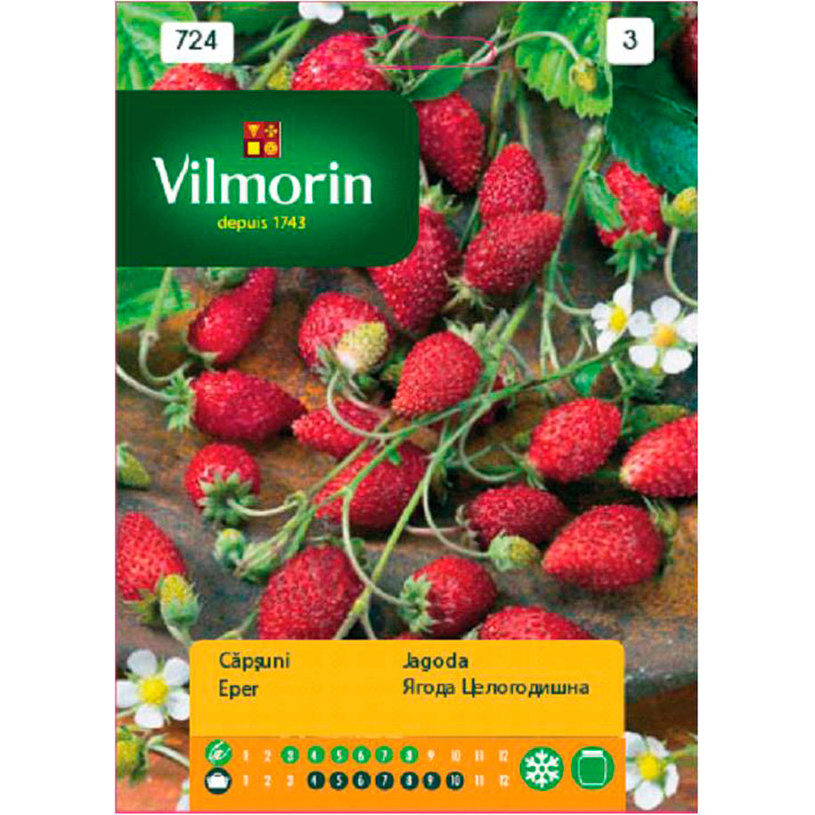Вилморин Ягода целогодишна Вилморин Ягода целогодишна