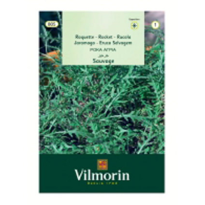 **Вилморин Рукола **Вилморин Рукола