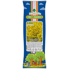 КОРЕН ФОРЗИЦИЯ EKZOTIKA КОРЕН ФОРЗИЦИЯ EKZOTIKA