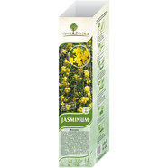 КОРЕН ЖАСМИН EKZOTIKA КОРЕН ЖАСМИН EKZOTIKA