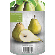 КРУША С ПАКЕТИРАН КОРЕН EKZOTIKA КРУША С ПАКЕТИРАН КОРЕН EKZOTIKA