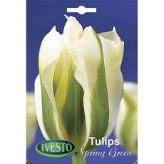 BULBS TULIP VIRIDIFLORA IVESTO BULBS TULIP VIRIDIFLORA IVESTO