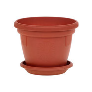 ПЛАСТМАСОВА САКСИЯ Ф14CM ГЕРБЕР ПЛАСТМАСОВА САКСИЯ Ф14CM ГЕРБЕР