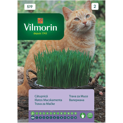 ВИЛМОРИН КОТЕШКА ТРЕВА ВИЛМОРИН КОТЕШКА ТРЕВА
