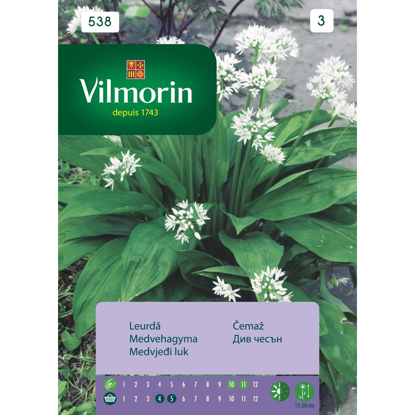 ВИЛМОРИН ЛЕВУРДА, МЕЧИ ЛУК, ДИВ ЧЕСЪН, Д ВИЛМОРИН ЛЕВУРДА, МЕЧИ ЛУК, ДИВ ЧЕСЪН, Д