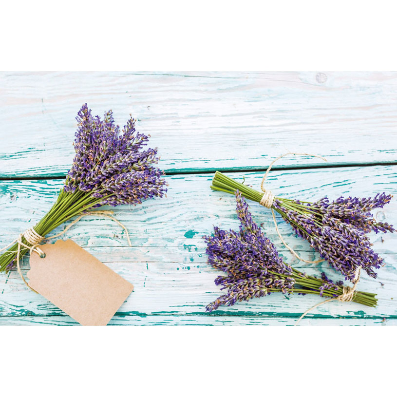 ПОДЛОЖКИ ЗА СЕРВ. ПВЦ 28Х43 ОФСЕТ ПОДЛОЖКИ ЗА СЕРВ. ПВЦ 28Х43 ОФСЕТ