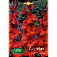 ЛУКОВИЦИ ГЛАДИОЛА BROWN SUGAR IVESTO ЛУКОВИЦИ ГЛАДИОЛА BROWN SUGAR IVESTO