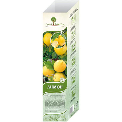 Корен Лимон в кутия Корен Лимон в кутия