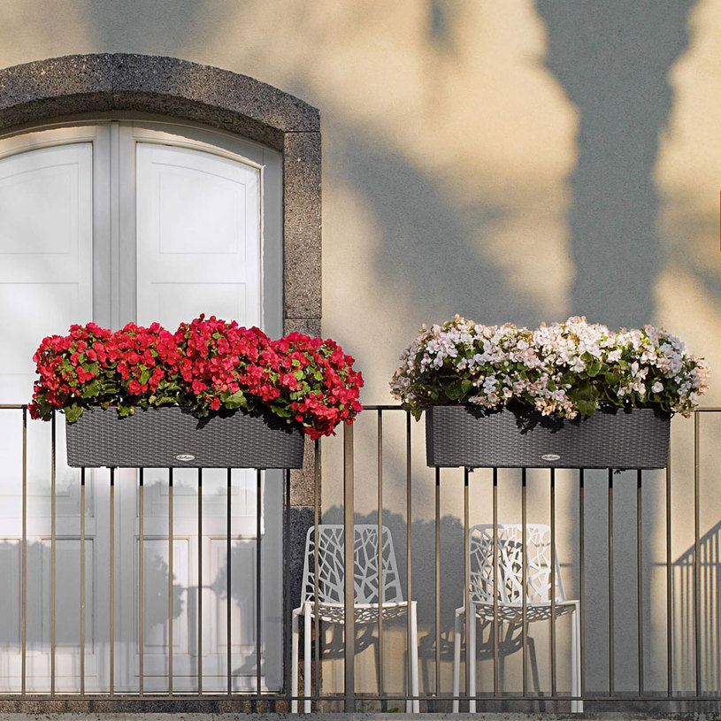 БАЛКОНИЕРА COTTAGE 80CM МОКА 15615 БАЛКОНИЕРА COTTAGE 80CM МОКА 15615