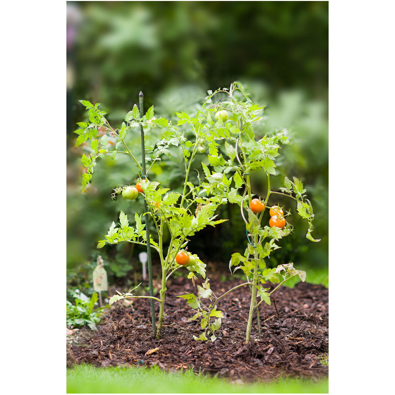 КОЛЧЕ ЗА РАСТЕНИЯ 16X1800 ММ ЗЕЛЕН КОЛЧЕ ЗА РАСТЕНИЯ 16X1800 ММ ЗЕЛЕН