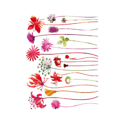 СТИКЕРИ A&G 65X85СМ 1Ч ЧЕРВ. НОСТАЛГИЯ СТИКЕРИ A&G 65X85СМ 1Ч ЧЕРВ. НОСТАЛГИЯ