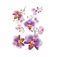 СТИКЕРИ A&G 65X85СМ 1ЧАСТ ОРХИДЕЯ СТИКЕРИ A&G 65X85СМ 1ЧАСТ ОРХИДЕЯ