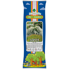 Корен Спирея - микс - 1 бр Корен Спирея - микс - 1 бр