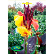 ЛУКОВИЦИ КАНА КЛЕОПАТРА ЛУКОВИЦИ КАНА КЛЕОПАТРА