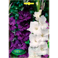 ЛУКОВИЦИ ГЛАДИОЛА СИНЬО И БЯЛО IVESTO ЛУКОВИЦИ ГЛАДИОЛА СИНЬО И БЯЛО IVESTO