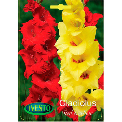 ЛУКОВИЦИ ГЛАДИОЛА RED&YELLOW ЛУКОВИЦИ ГЛАДИОЛА RED&YELLOW