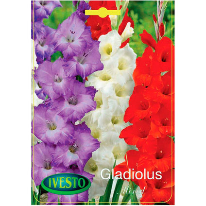 ЛУКОВИЦИ ГЛАДИОЛА TRICOLOR MIX ЛУКОВИЦИ ГЛАДИОЛА TRICOLOR MIX