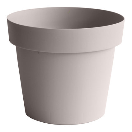САКСИЯ МЕЛРОУЗ Ф40 МОКА САКСИЯ МЕЛРОУЗ Ф40 МОКА