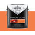 SPIRIT ЦВЕТЕН ЛАТЕКС КАНЬОН АНТИЛОПА2.5L SPIRIT ЦВЕТЕН ЛАТЕКС КАНЬОН АНТИЛОПА2.5L